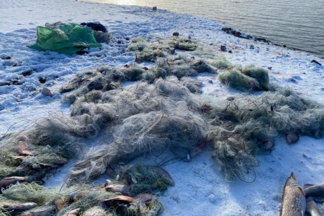 У Симферопольского водохранилища поймали браконьеров с тонной рыбы