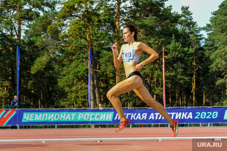 Как звучит «Дюна» и о чем поют знаменитые спортсмены