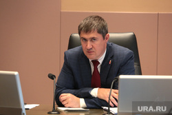 Пермские инсайды: депутат стащил плакаты Махонина