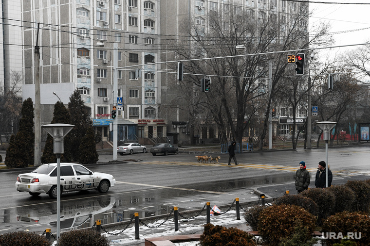 В разгромленном Алматы начали воевать по ночам