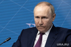 Пермяки просят Путина защитить городской лес от застройки